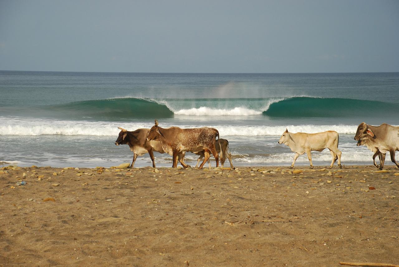 Surf Sanctuary Hotel El Limón Exterior foto