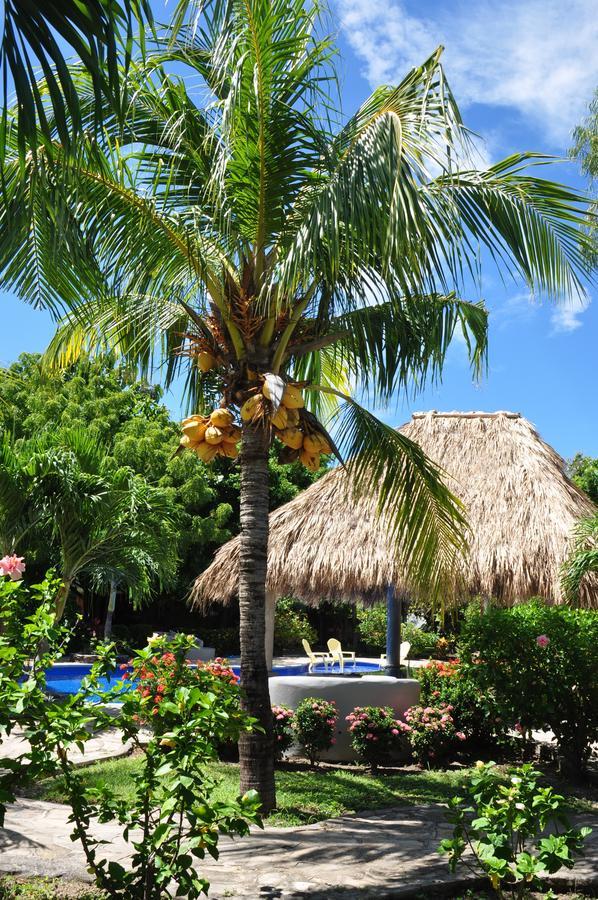 Surf Sanctuary Hotel El Limón Exterior foto